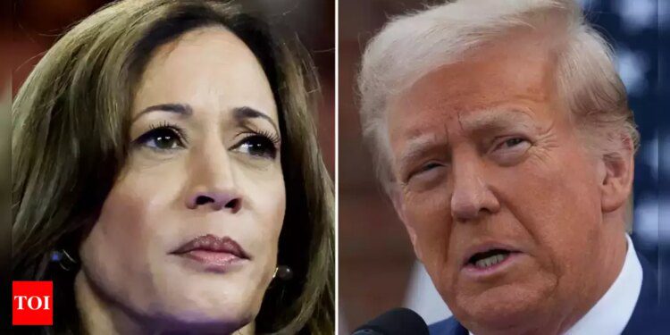 Indian Americans in US Election 2024 Live Updates: From Democrats to Trump? Indian-Americans navigate changing political landscape