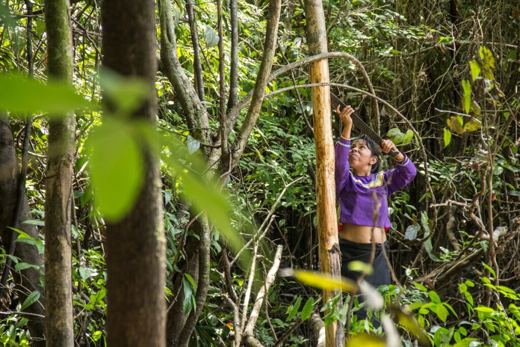 Indigenous women are on nature's front lines but get little funding | News | Eco-Business