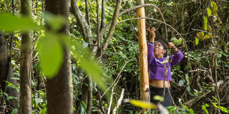 Indigenous women are on nature's front lines but get little funding | News | Eco-Business