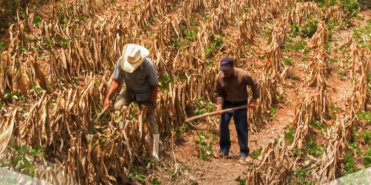 [International]Worrying about drinking water in the worst drought...a burning heart