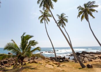 Jamaica's Cruise Tourism Spurs Visitor Growth in 2024