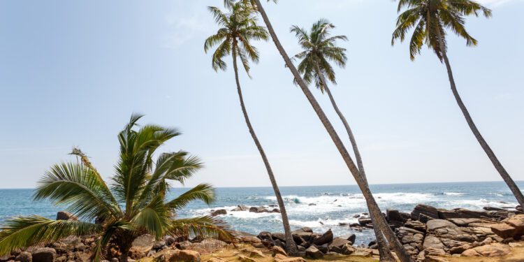 Jamaica's Cruise Tourism Spurs Visitor Growth in 2024