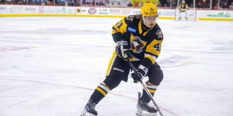 Koivunen enjoying adustment to pro hockey in North America – Wilkes-Barre Citizens' Voice