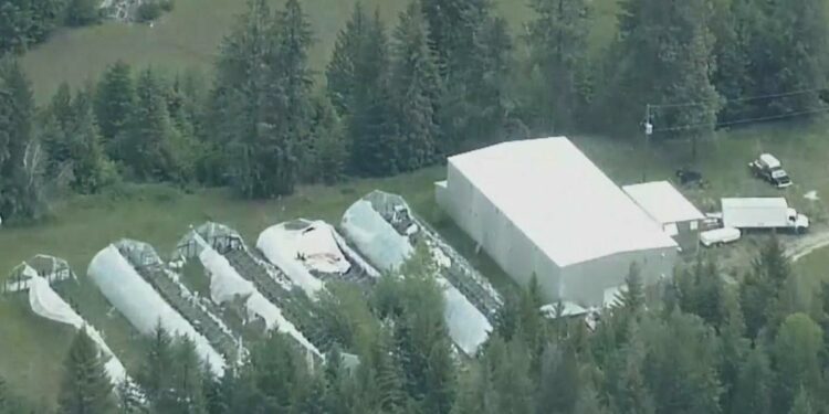 Largest drug "super lab" in Canada's history busted with record amount of fentanyl, chemicals and guns seized