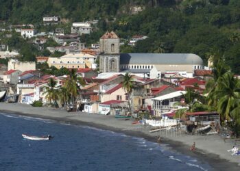 Martinique protesters take up arms over cost of living - JURIST