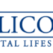 Millicom (Tigo) Q3 2024 Earnings Release