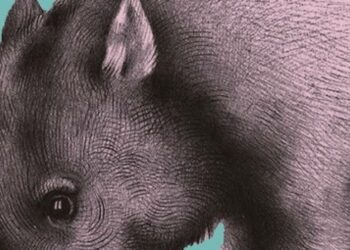 Need a break from politics? Marvel at the 'Vanishing Treasures' of the natural world