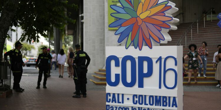 Negotiations stall over some crucial issues on final day of UN biodiversity summit in Colombia