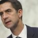 Neocon Tom Cotton Set to Get Terrifying New Role in Senate