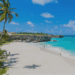 New Delta Direct Flight to Barbados Opens Opportunities for Atlanta Investors 