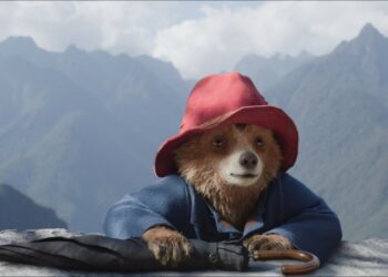 A bear wearing a red hat looks over a rock, with mountains behind.