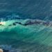 Oil leak off Trinidad and Tobago causes national environmental emergency — MercoPress