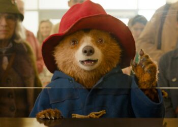 Paddington in Paddington in Peru