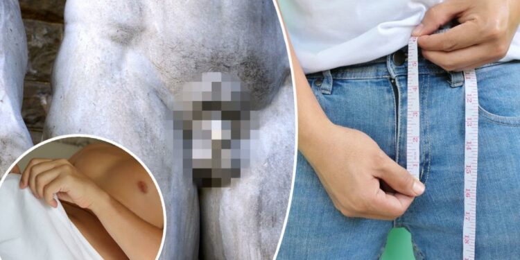 Penis size ranked by US state: study