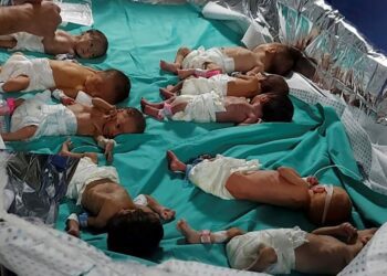 Population growth in Latin America and the Caribbean falls below expectations