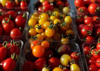 Proposed Trump tariffs could hit Arizona imports like tomatoes, wiring