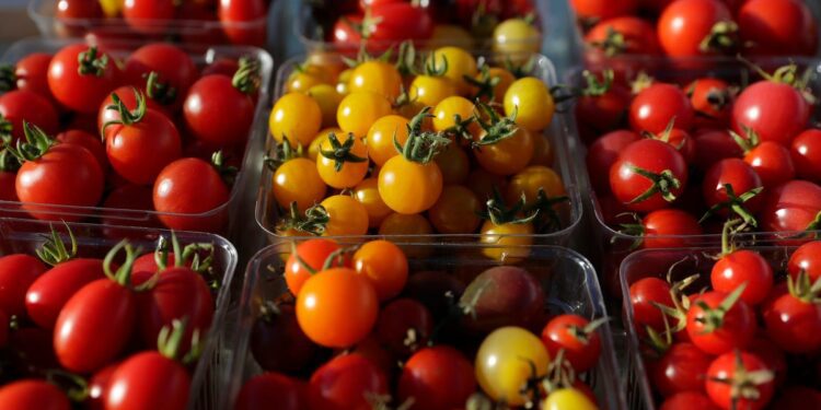 Proposed Trump tariffs could hit Arizona imports like tomatoes, wiring