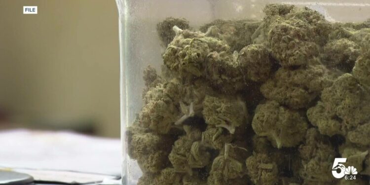 Rec marijuana in Colorado Springs unlikely to affect military relationships