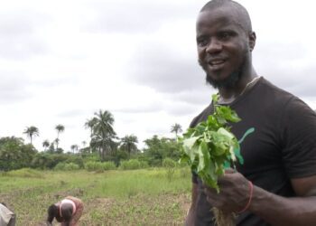 Stories of gangsters who’ve left their life on the streets behind – podcast