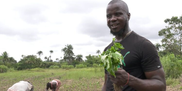 Stories of gangsters who’ve left their life on the streets behind – podcast