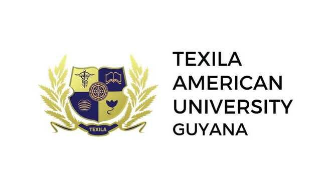 Strengthening Cultural and Bilateral Relations: India and Guyana