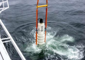 Swedish Firm Eyes Multi-Megawatt Wave Energy Farm Off Grenada