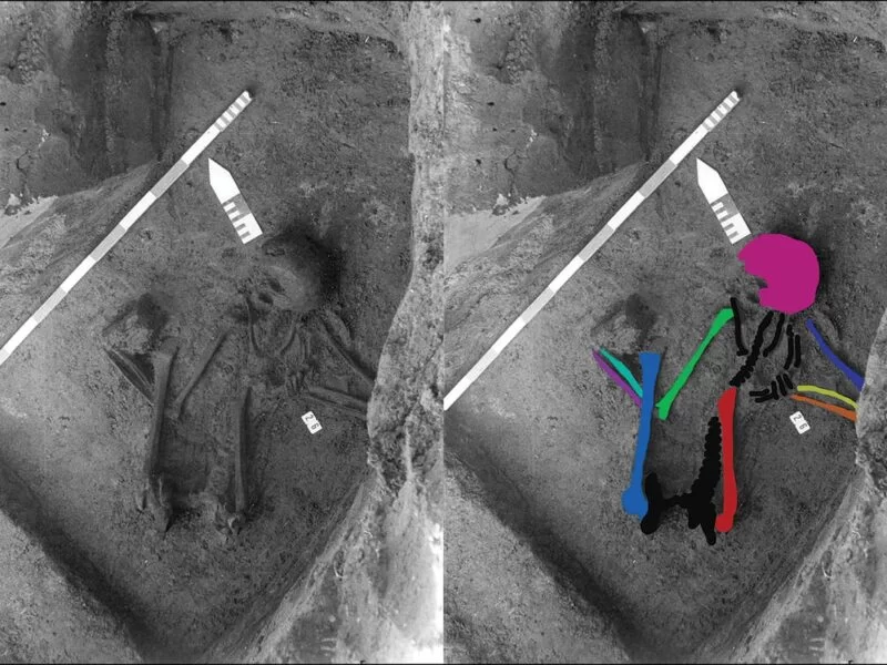 Archaeologists thought they found a Roman tomb in Belgium, but only the skull actually was, the bones were Neolithic