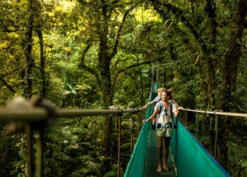 The ultimate two-week holiday plan