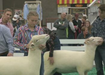 Thousands flock to Louisville for 51st North American International Livestock Exposition