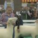 Thousands flock to Louisville for 51st North American International Livestock Exposition