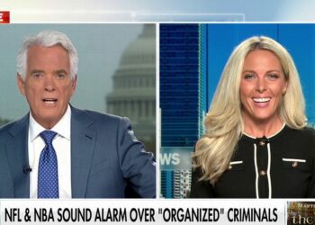 Transnational crime rings from South America know exactly what they're looking for, ex- FBI special agent says