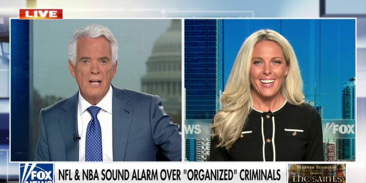 Transnational crime rings from South America know exactly what they're looking for, ex- FBI special agent says