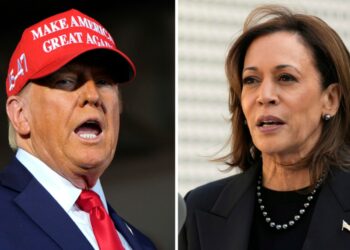 Trump Flips Arizona, Sweeping All Battleground States