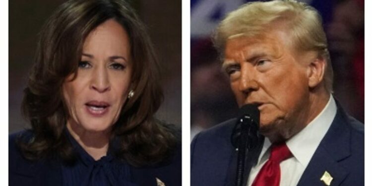 Trump, Harris in dead heat