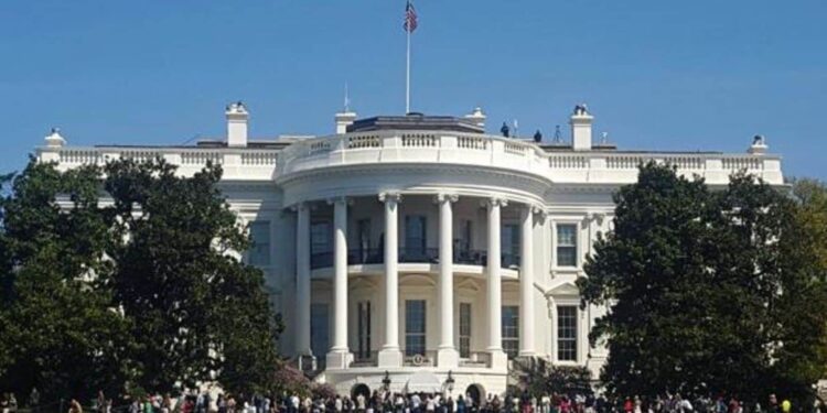 Trump vs Harris: The stakes are way higher for America than for the rest of us