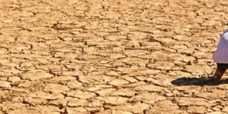 UNICEF, Health News, ET HealthWorld