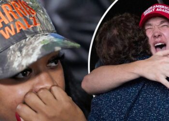 US Election 2024: Crowd erupts as Trump takes stage for victory speech