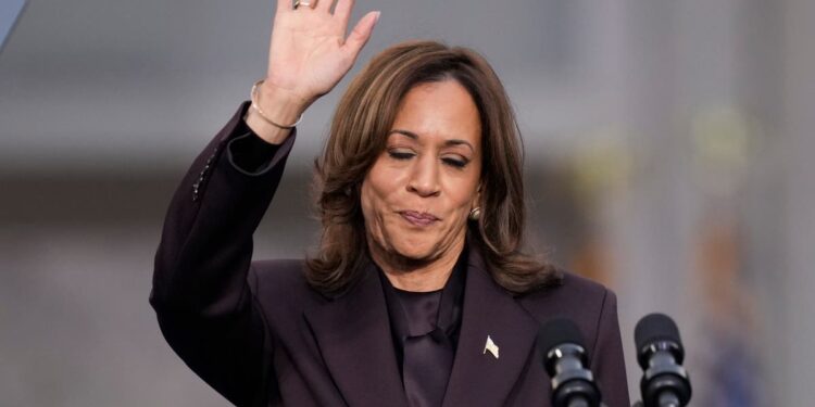 US Election 2024 LIVE: Harris says 'fight for freedom takes hard work' after crushing defeat to Trump