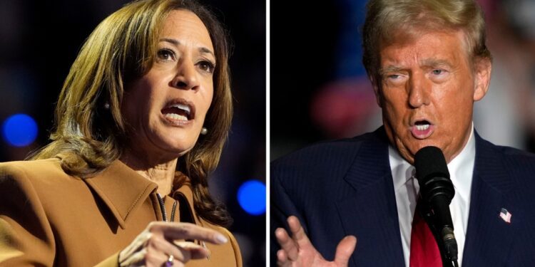 U.S. Election: American voters in Canada brace for tight presidential election