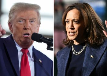 US election latest: America decides: Polling day in the race for the White House | US News