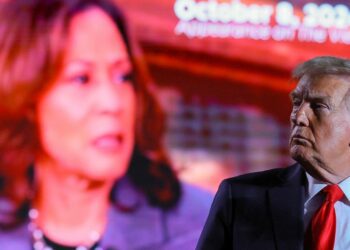 US election latest: Cardi B to speak at Harris rally soon - as Trump faces legal investigation into Liz Cheney comments | US News