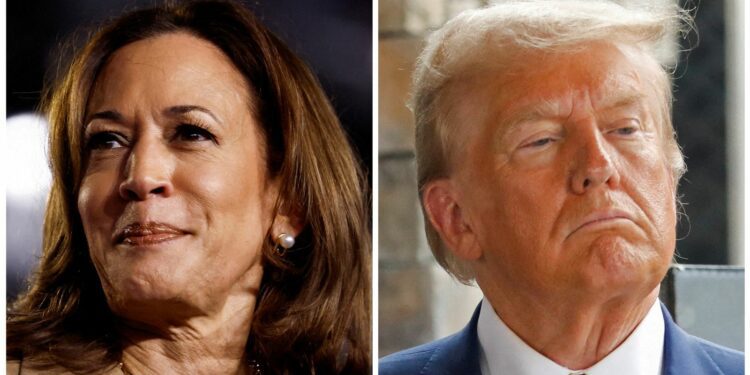 US election latest: Early voting data reveals potentially decisive trends in two key swing states; Trump and Harris to hold rallies within miles of each other | US News