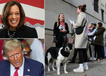 US election latest: Trump says he's 'very confident' as he casts vote in Florida; Obama warns election 'going to be close' | US News