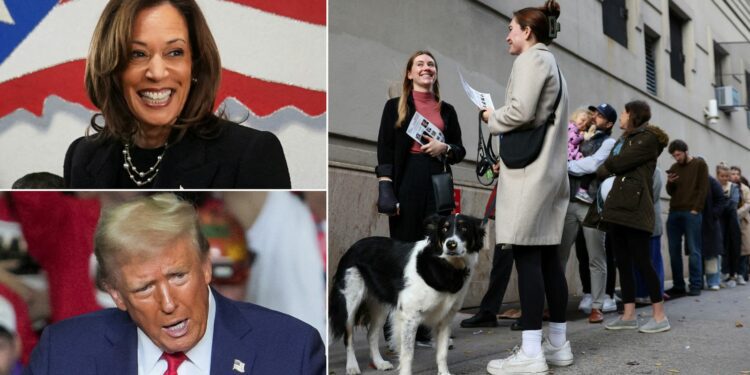 US election latest: Trump says he's 'very confident' as he casts vote in Florida; Obama warns election 'going to be close' | US News