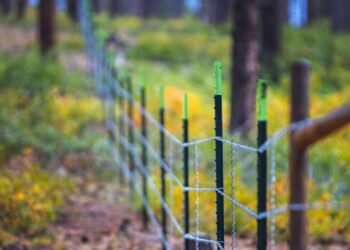 U.S. government sues group that fenced off Colorado national forest