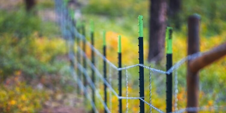 U.S. government sues group that fenced off Colorado national forest