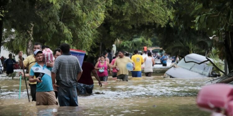 Kejriwal Kailash Gehlot