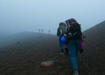 Unlocking the Future of Travel: Exploring South America’s Tech Innovations