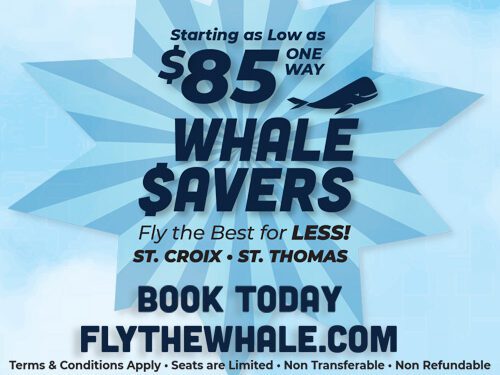 VIPA, Cruise Lines in Productive Talks on Future of St. Thomas Harbor and Port Fees Ahead of Dredging Next Year