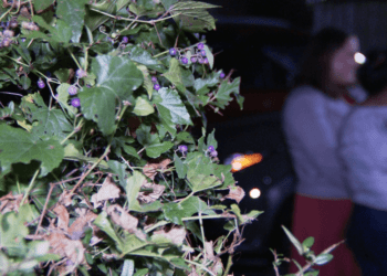 Venezuelan asylum seekers in D.C. face uncertain future amid Trump's deportation plans